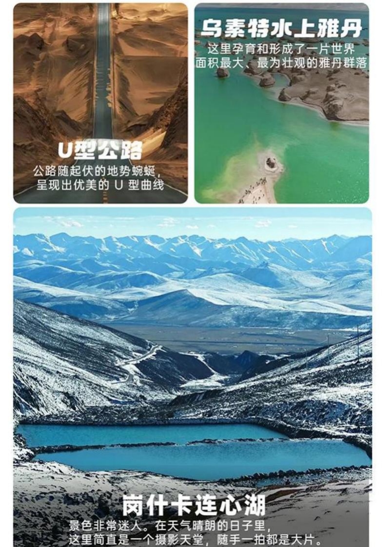图片8.jpg