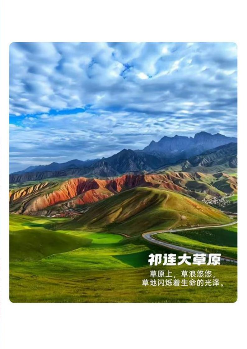图片13.png